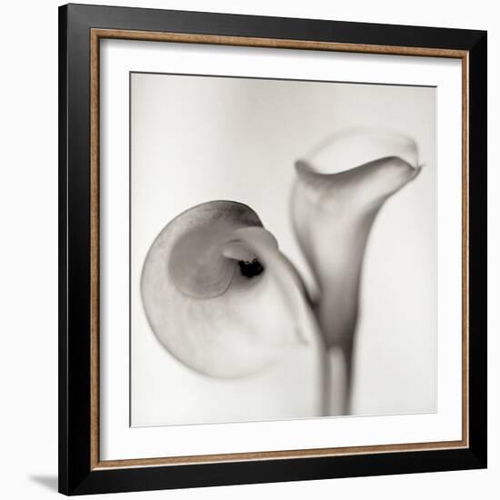 Florison 35-Alan Blaustein-Framed Photographic Print