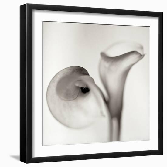 Florison 35-Alan Blaustein-Framed Photographic Print