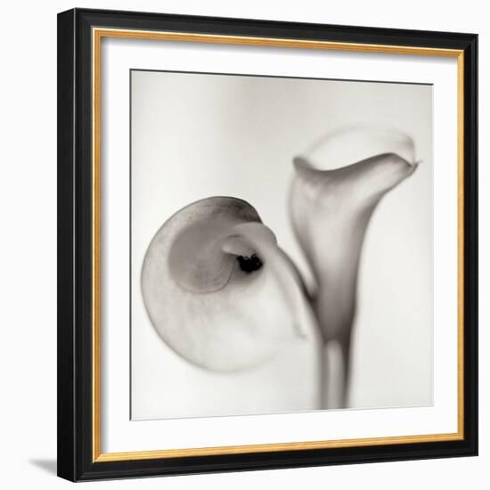 Florison 35-Alan Blaustein-Framed Photographic Print