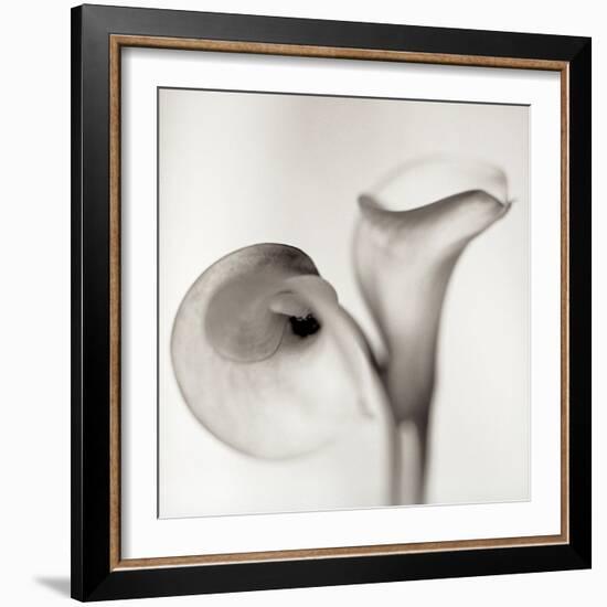 Florison #35-Alan Blaustein-Framed Photographic Print