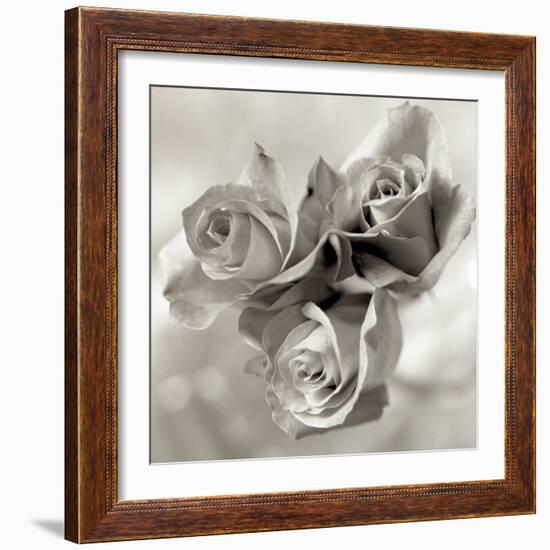 Florison #36-Alan Blaustein-Framed Photographic Print