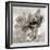 Florison #36-Alan Blaustein-Framed Photographic Print