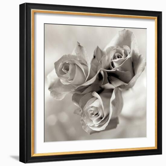 Florison #36-Alan Blaustein-Framed Photographic Print