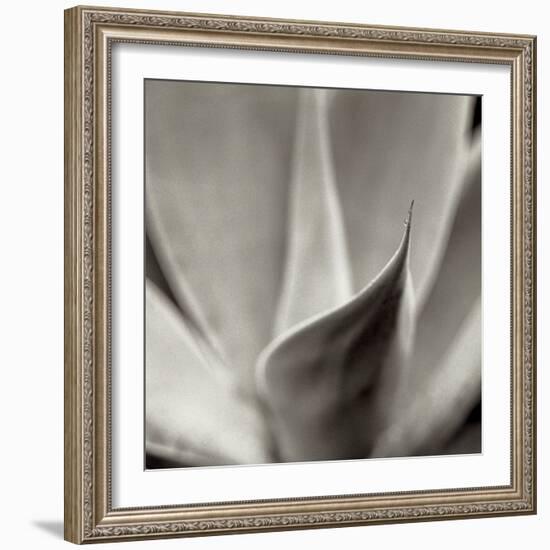 Florison 42-Alan Blaustein-Framed Photographic Print