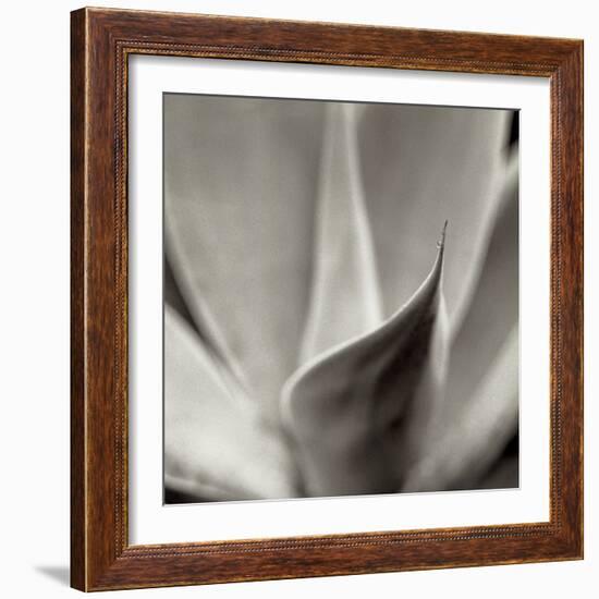 Florison 42-Alan Blaustein-Framed Photographic Print