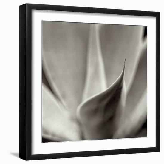 Florison 42-Alan Blaustein-Framed Photographic Print
