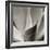 Florison 42-Alan Blaustein-Framed Photographic Print