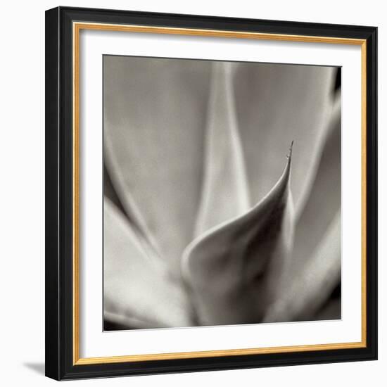 Florison 42-Alan Blaustein-Framed Photographic Print