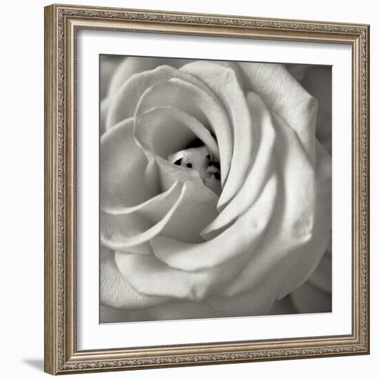 Florison 43-Alan Blaustein-Framed Photographic Print