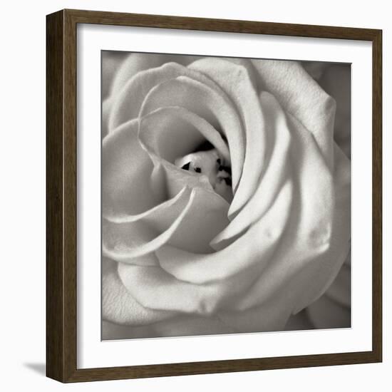 Florison 43-Alan Blaustein-Framed Photographic Print