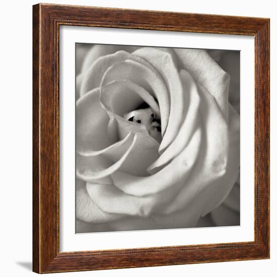 Florison 43-Alan Blaustein-Framed Photographic Print