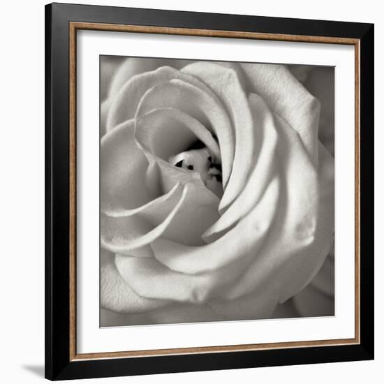 Florison 43-Alan Blaustein-Framed Photographic Print