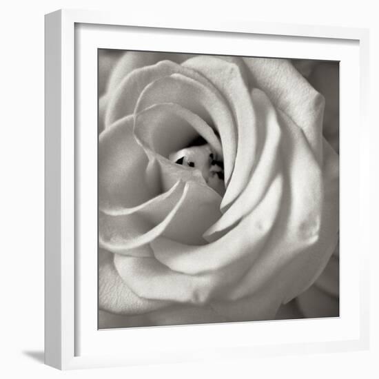 Florison 43-Alan Blaustein-Framed Photographic Print