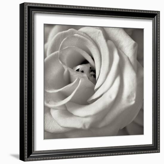 Florison 43-Alan Blaustein-Framed Photographic Print