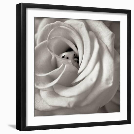 Florison #43-Alan Blaustein-Framed Photographic Print