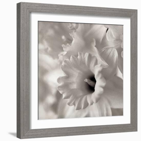 Florison #45-Alan Blaustein-Framed Photographic Print