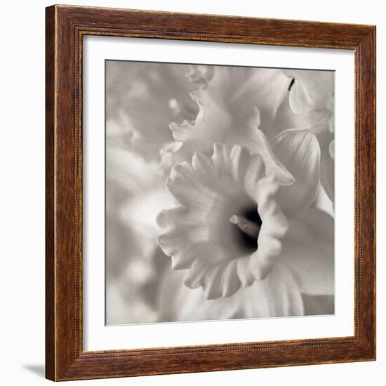 Florison #45-Alan Blaustein-Framed Photographic Print