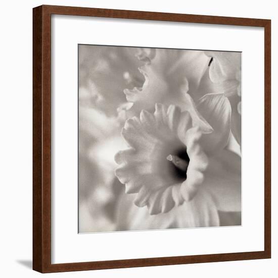 Florison #45-Alan Blaustein-Framed Photographic Print