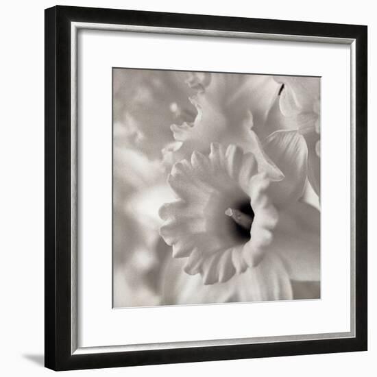 Florison #45-Alan Blaustein-Framed Photographic Print