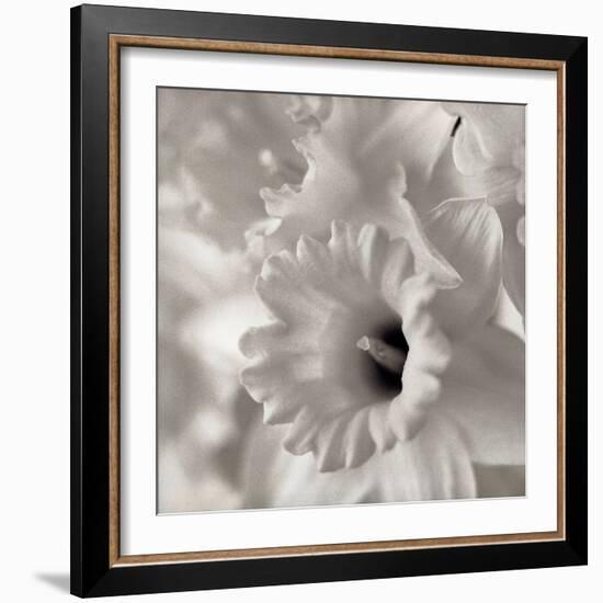 Florison #45-Alan Blaustein-Framed Photographic Print