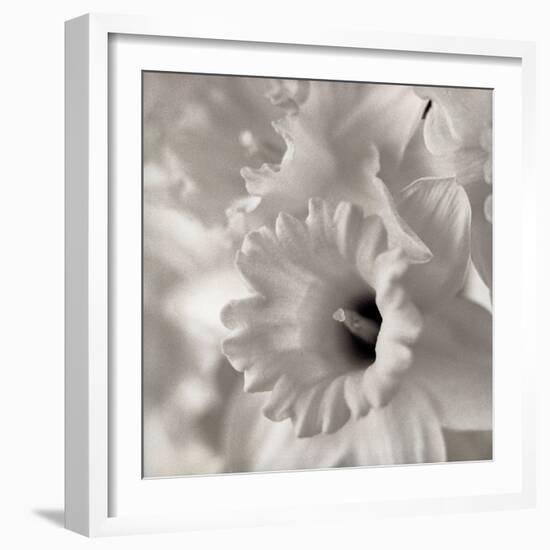 Florison #45-Alan Blaustein-Framed Photographic Print