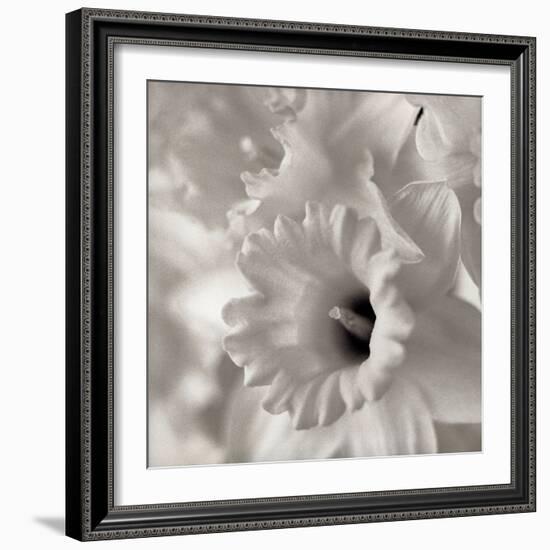 Florison #45-Alan Blaustein-Framed Photographic Print