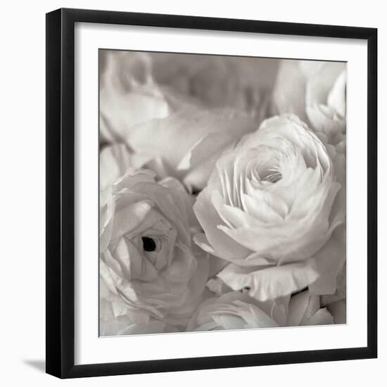 Florison #47-Alan Blaustein-Framed Photographic Print