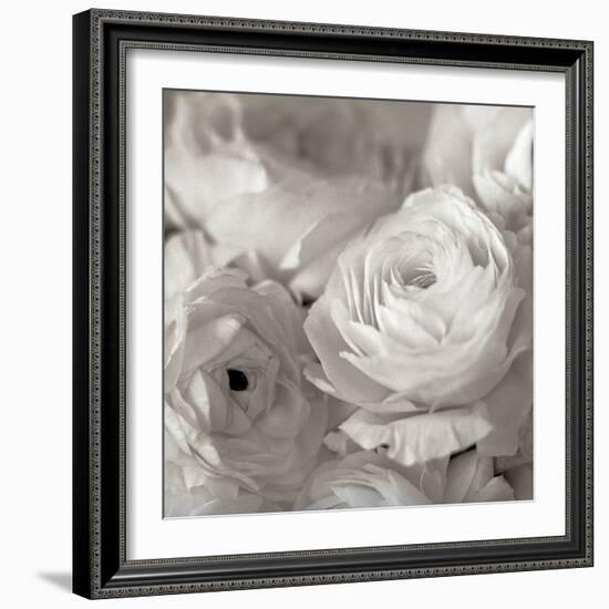 Florison #47-Alan Blaustein-Framed Photographic Print