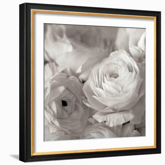 Florison #47-Alan Blaustein-Framed Photographic Print