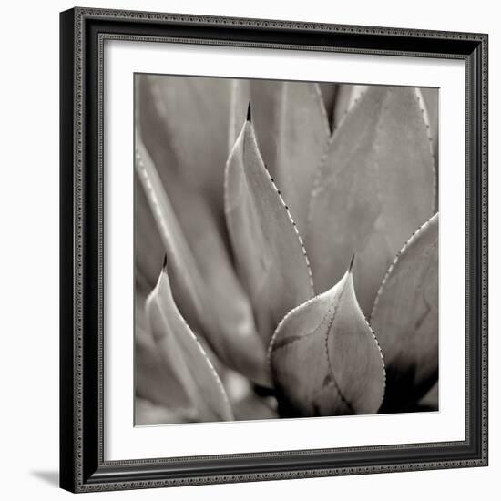 Florison 49-Alan Blaustein-Framed Photographic Print