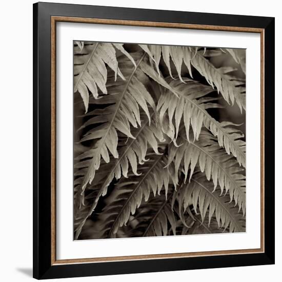 Florison 51-Alan Blaustein-Framed Photographic Print