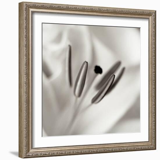 Florison #52-Alan Blaustein-Framed Photographic Print