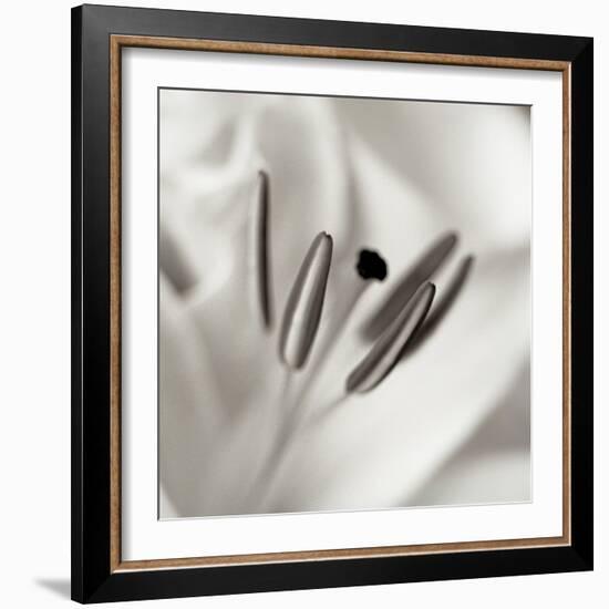 Florison #52-Alan Blaustein-Framed Photographic Print