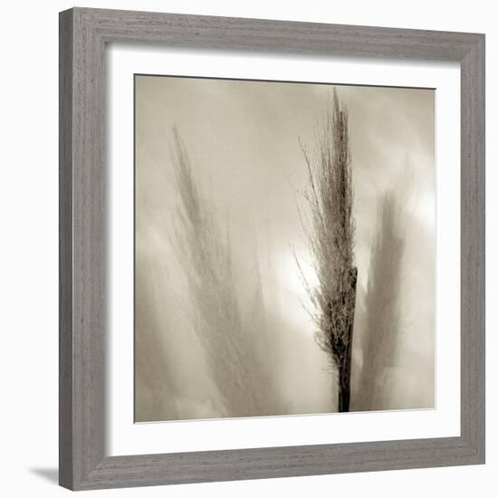 Florison 53-Alan Blaustein-Framed Photographic Print