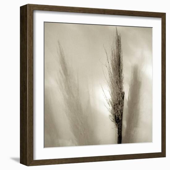 Florison 53-Alan Blaustein-Framed Photographic Print