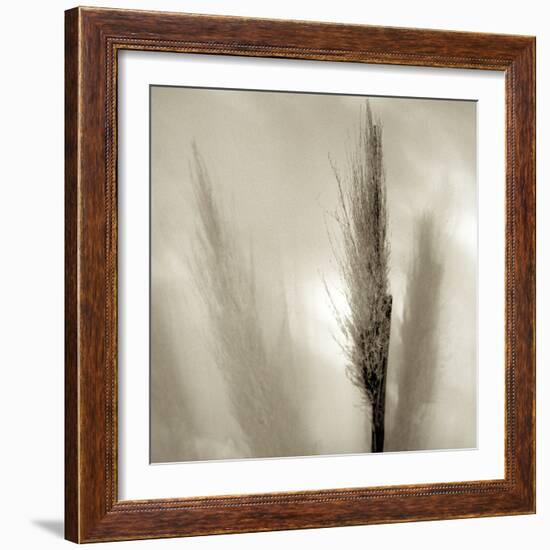 Florison 53-Alan Blaustein-Framed Photographic Print