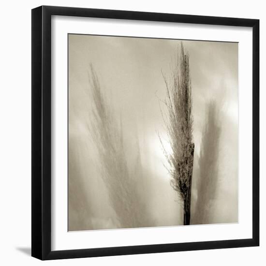 Florison 53-Alan Blaustein-Framed Photographic Print