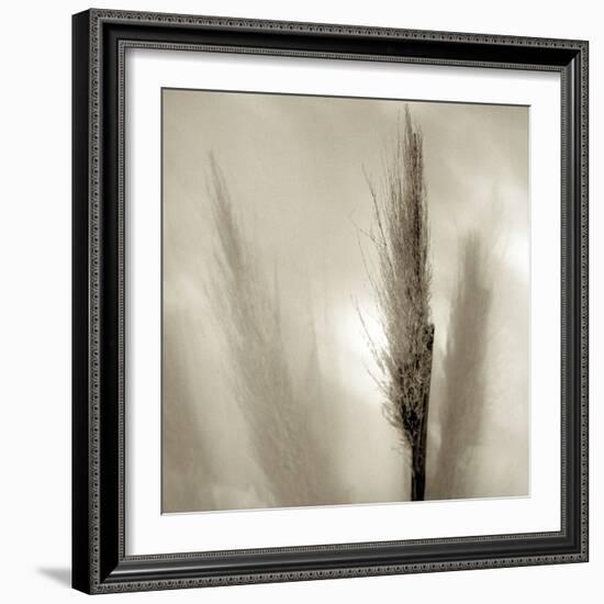 Florison 53-Alan Blaustein-Framed Photographic Print