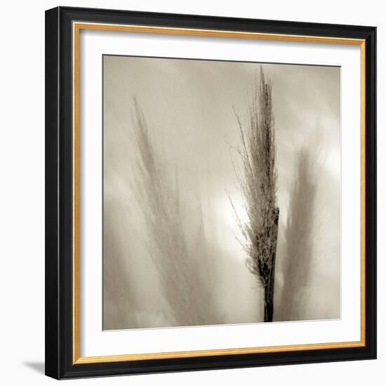 Florison 53-Alan Blaustein-Framed Photographic Print