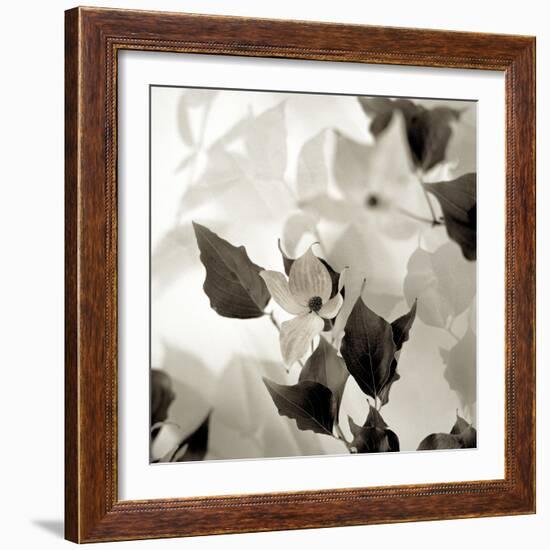 Florison 54-Alan Blaustein-Framed Photographic Print