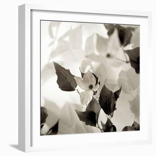 Florison 54-Alan Blaustein-Framed Photographic Print