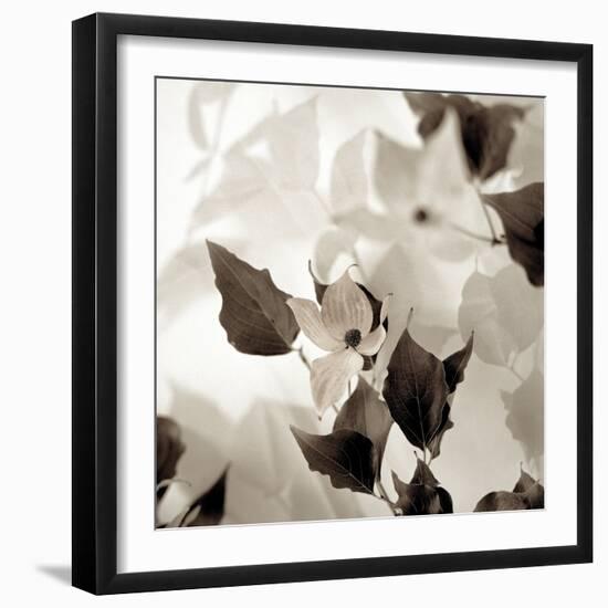 Florison #54-Alan Blaustein-Framed Photographic Print