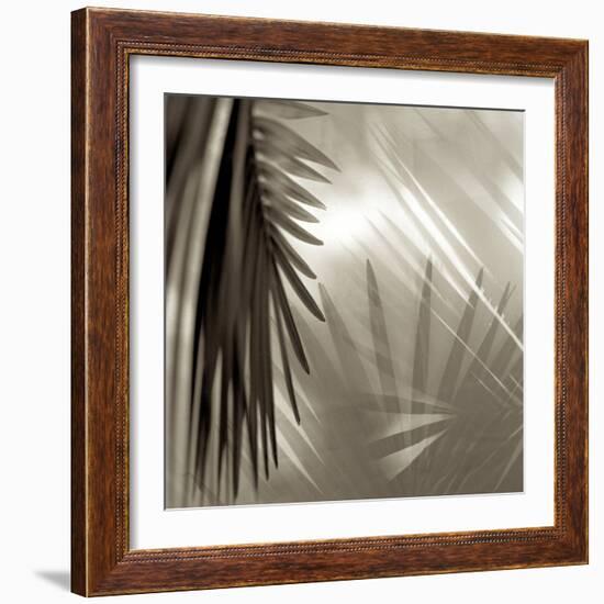 Florison 55-Alan Blaustein-Framed Photographic Print