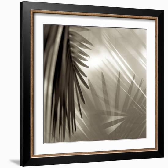 Florison 55-Alan Blaustein-Framed Photographic Print