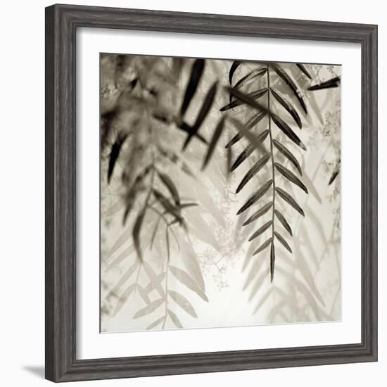 Florison 56-Alan Blaustein-Framed Photographic Print