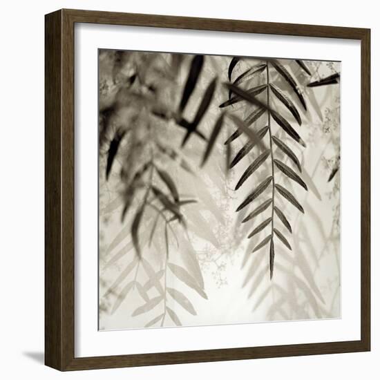 Florison 56-Alan Blaustein-Framed Photographic Print