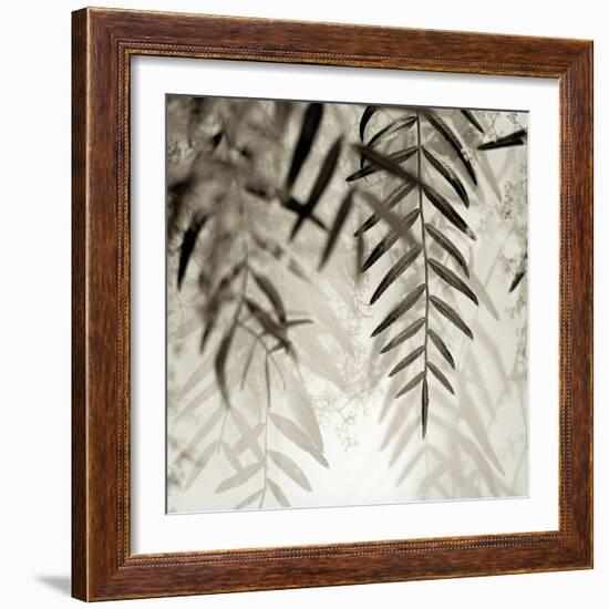 Florison 56-Alan Blaustein-Framed Photographic Print