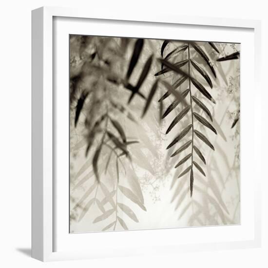 Florison 56-Alan Blaustein-Framed Photographic Print