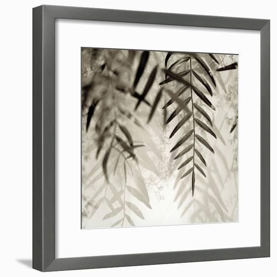 Florison 56-Alan Blaustein-Framed Photographic Print