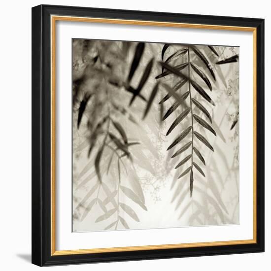 Florison 56-Alan Blaustein-Framed Photographic Print